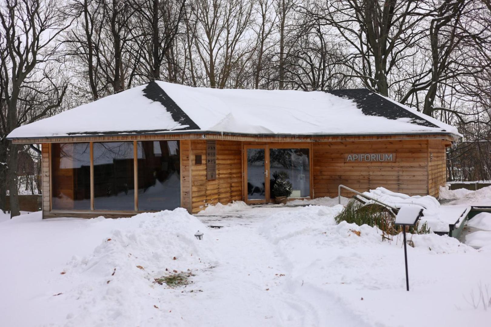 Hotel Debowy Biowellness & Spa Gory Sowie Bielawa  Exterior foto